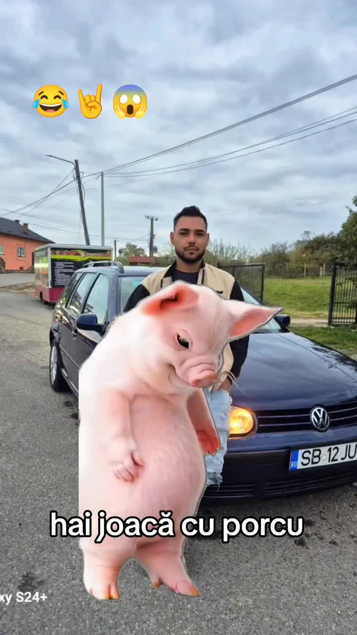@Mădălina Sukara