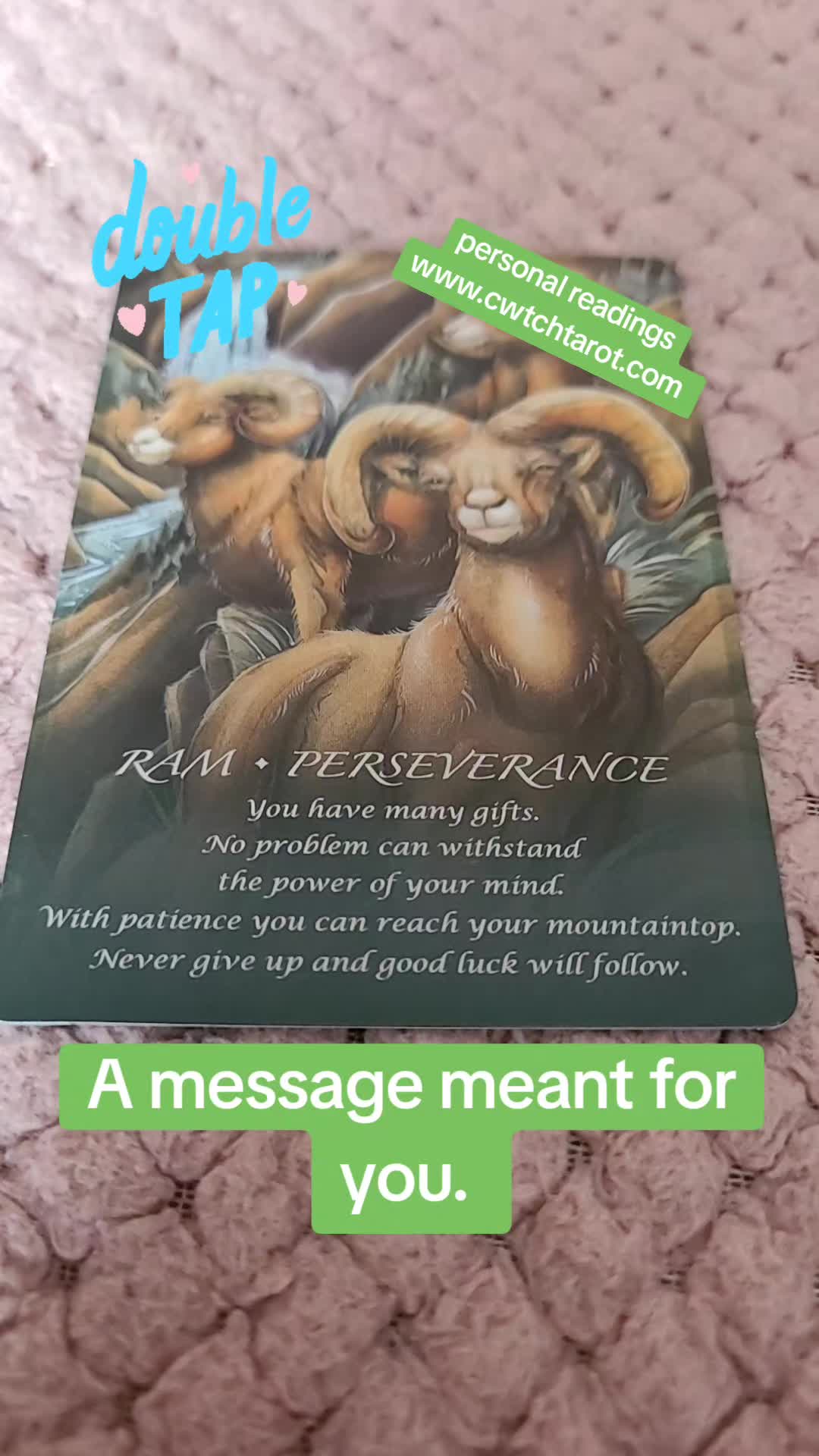 @Cwtch Tarot (Jayne)