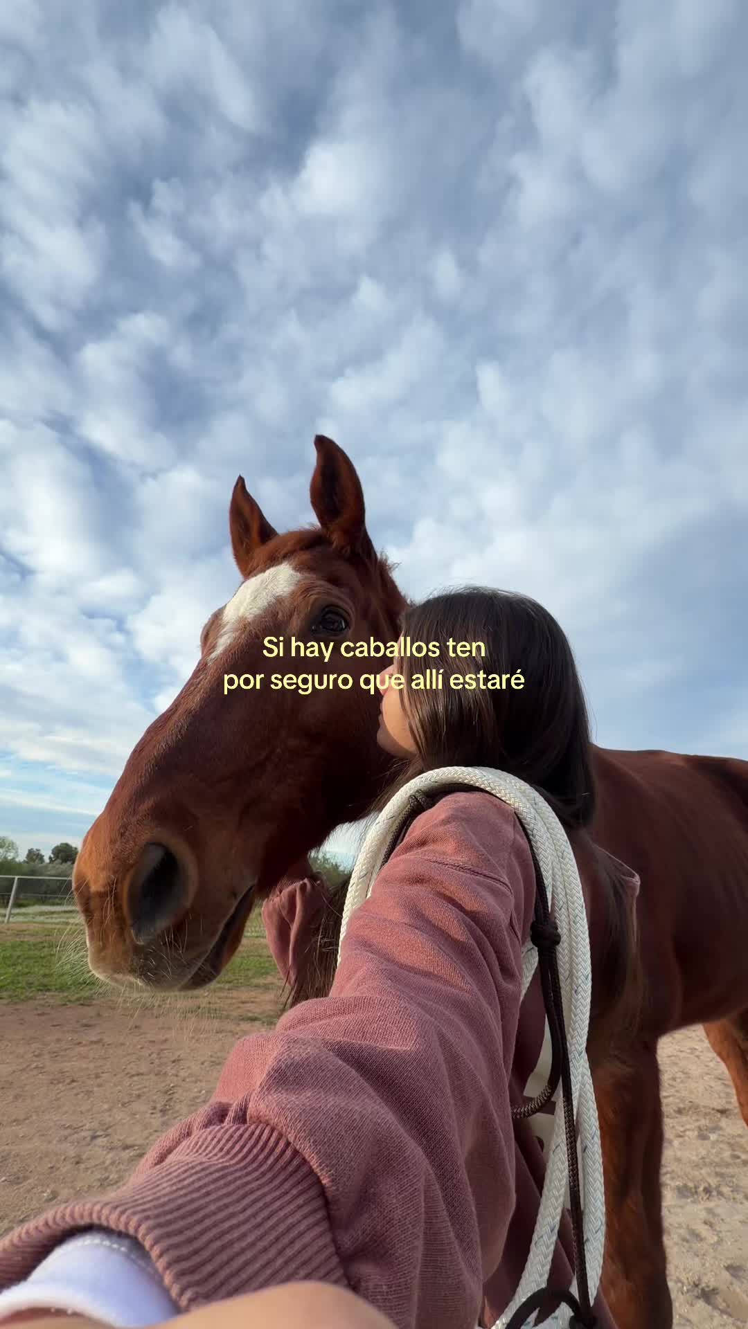 @MyHorse
