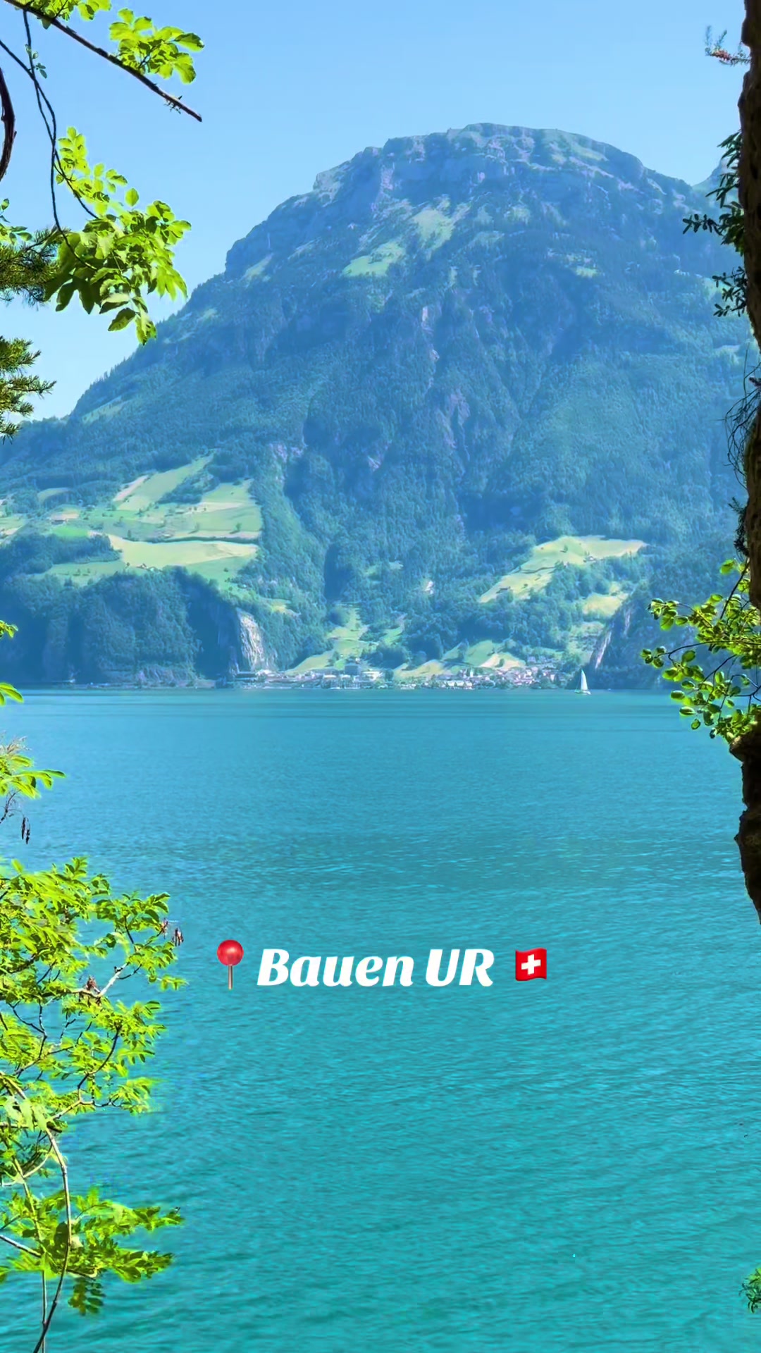 @swiss_alps