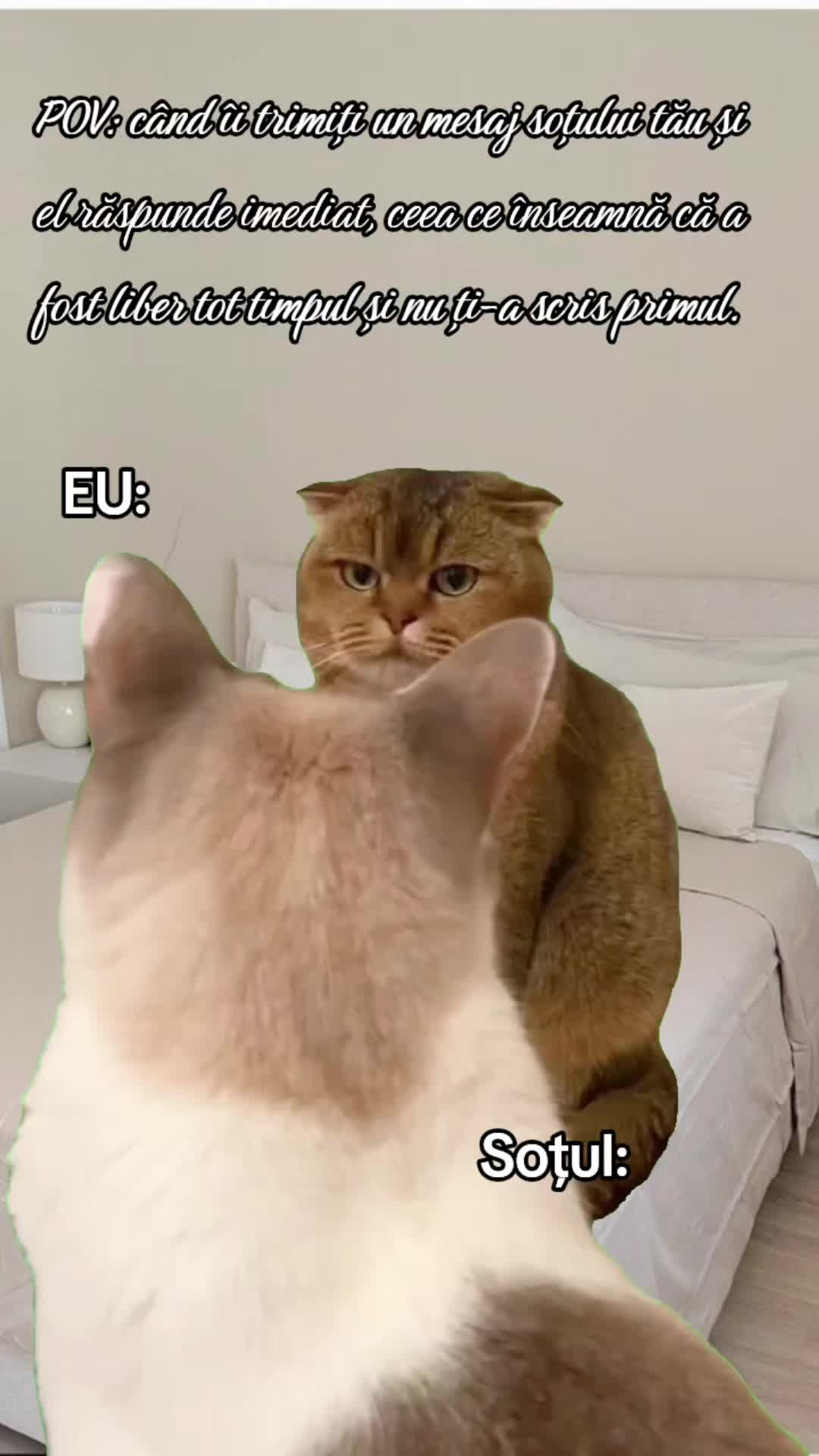 @ank_andreescu867
