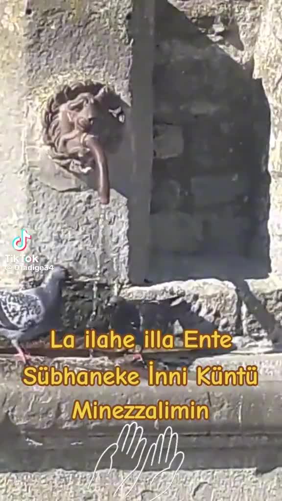@hazineakcelep