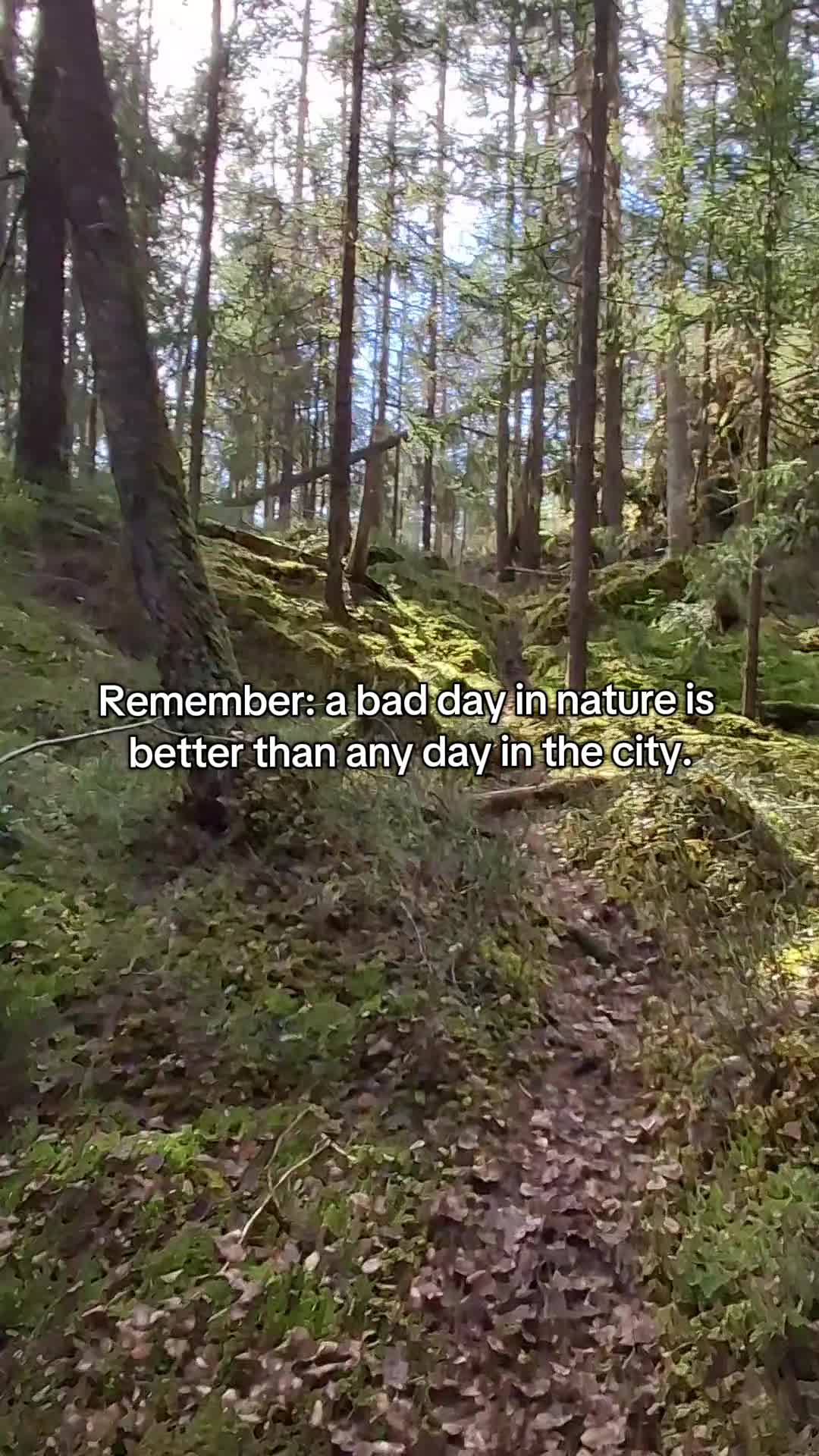 @sakdak.