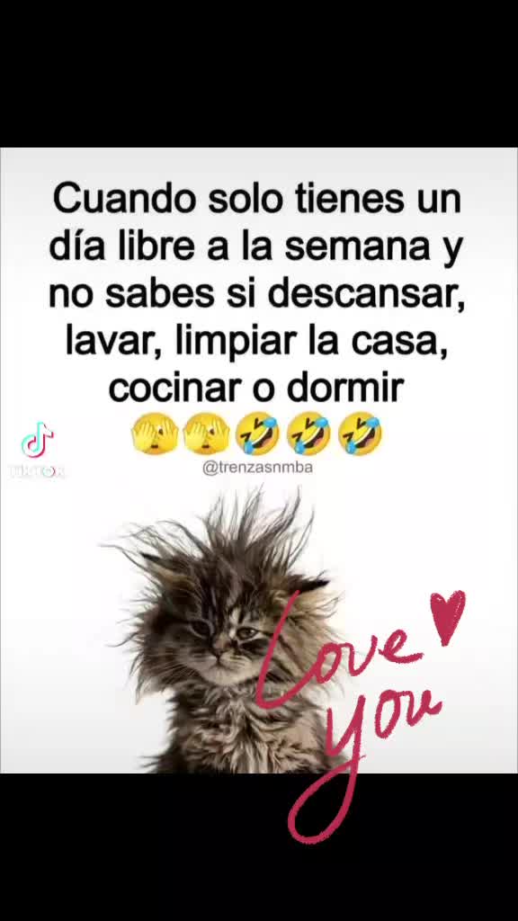 @Angel.R