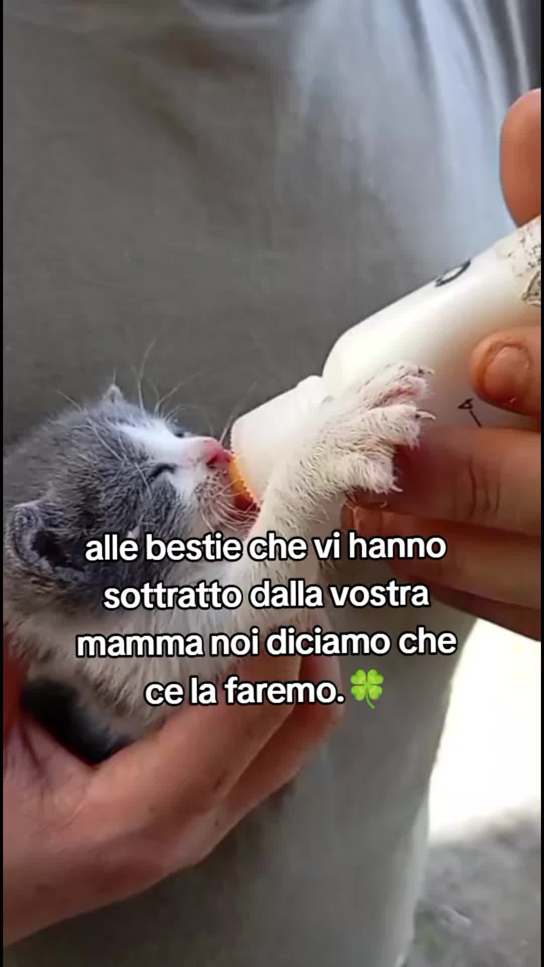 @Maria Salvatore