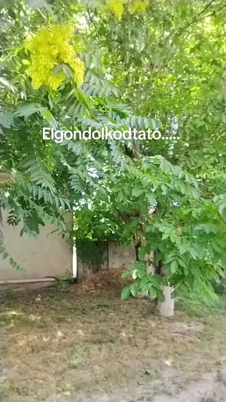@Zsuzsa🥰