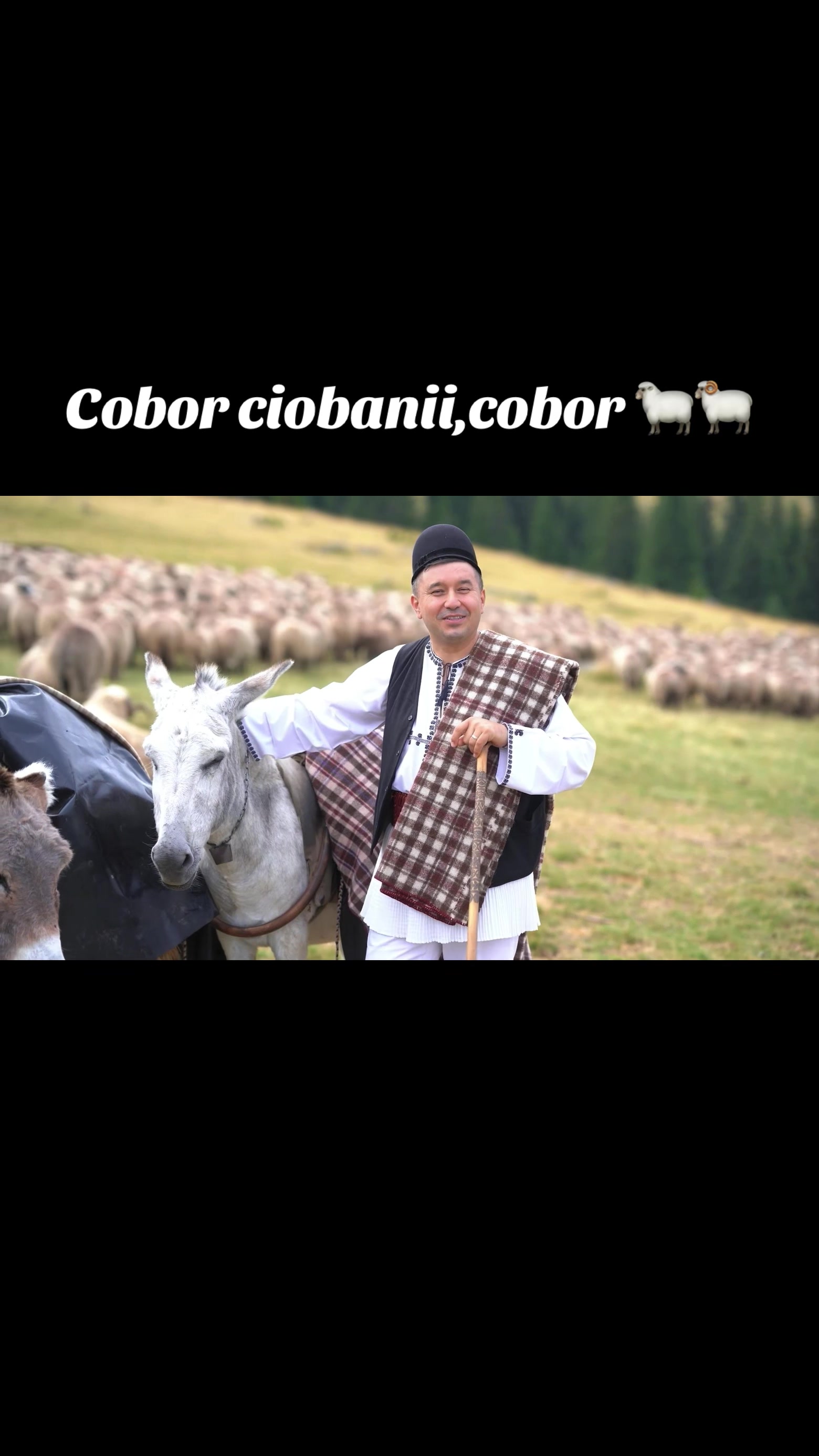 @Marius Tugulescu
