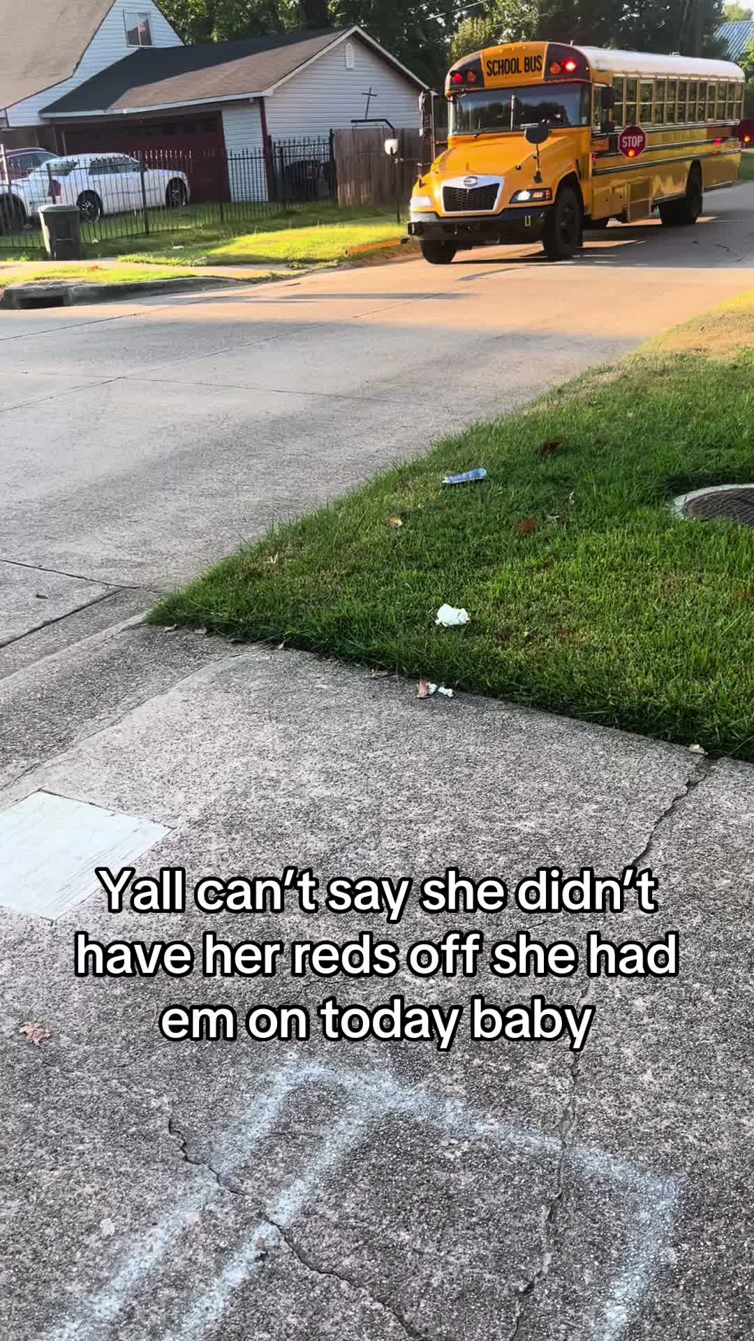@Bluebirdbus302