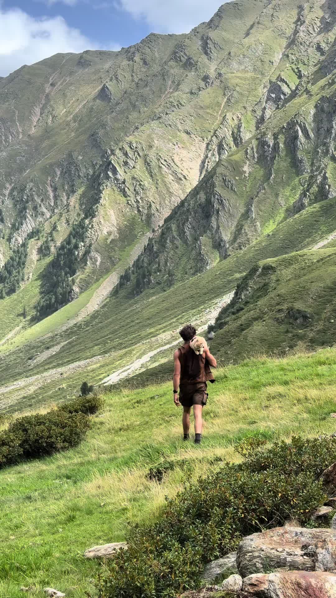 @peter_mai_