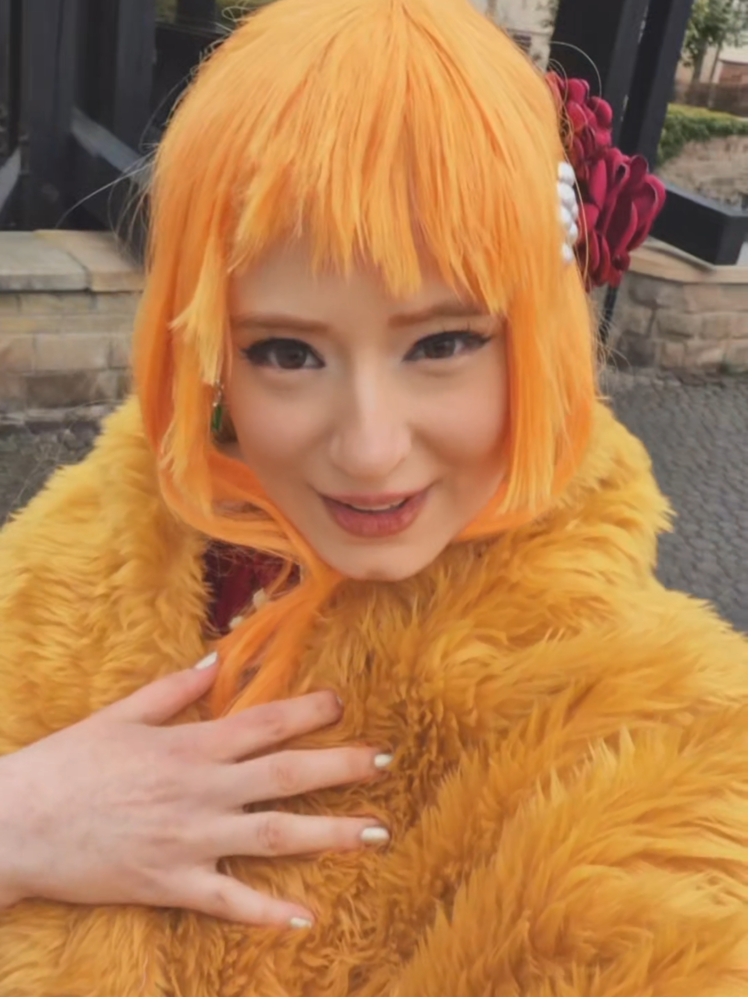 @akizahagami