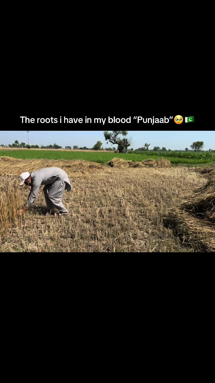 @Dr Moin RPh🇵🇰🇬🇧