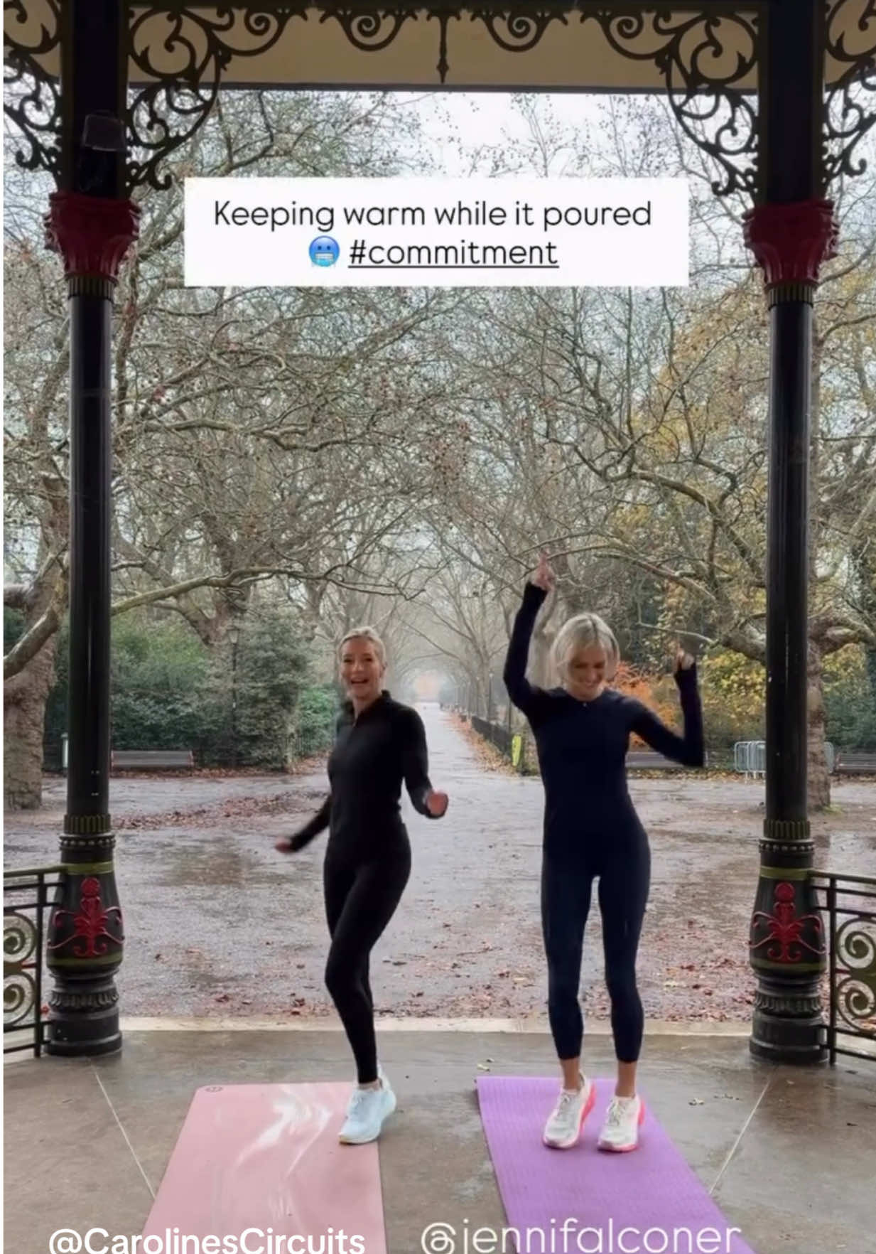 @jenni falconer