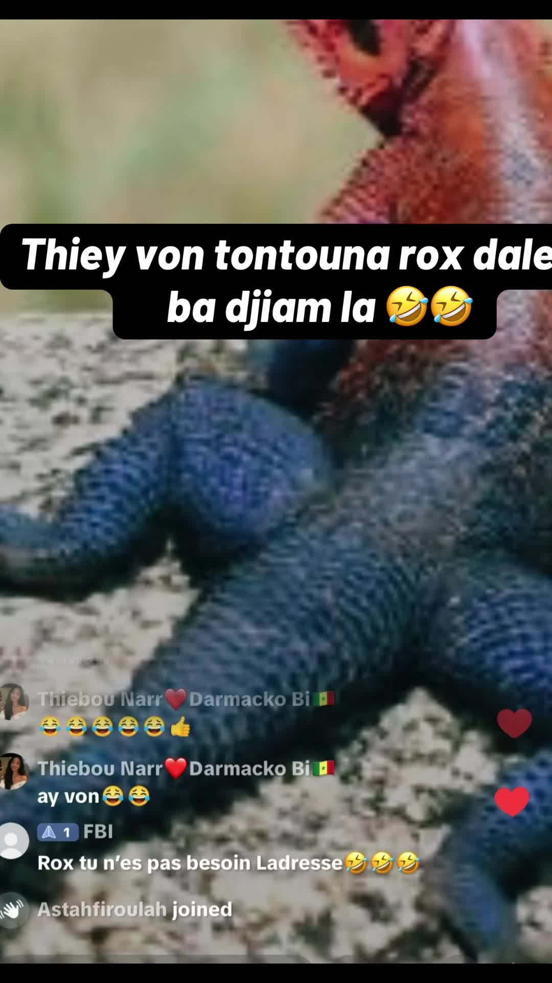 @galsen_buzz😂