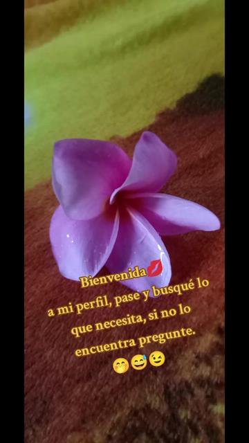 @damaris. mayorga5