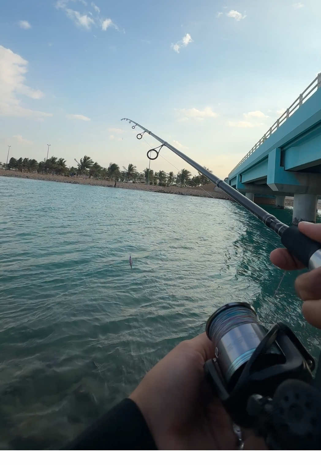 @ABDULRAHMAN🎣