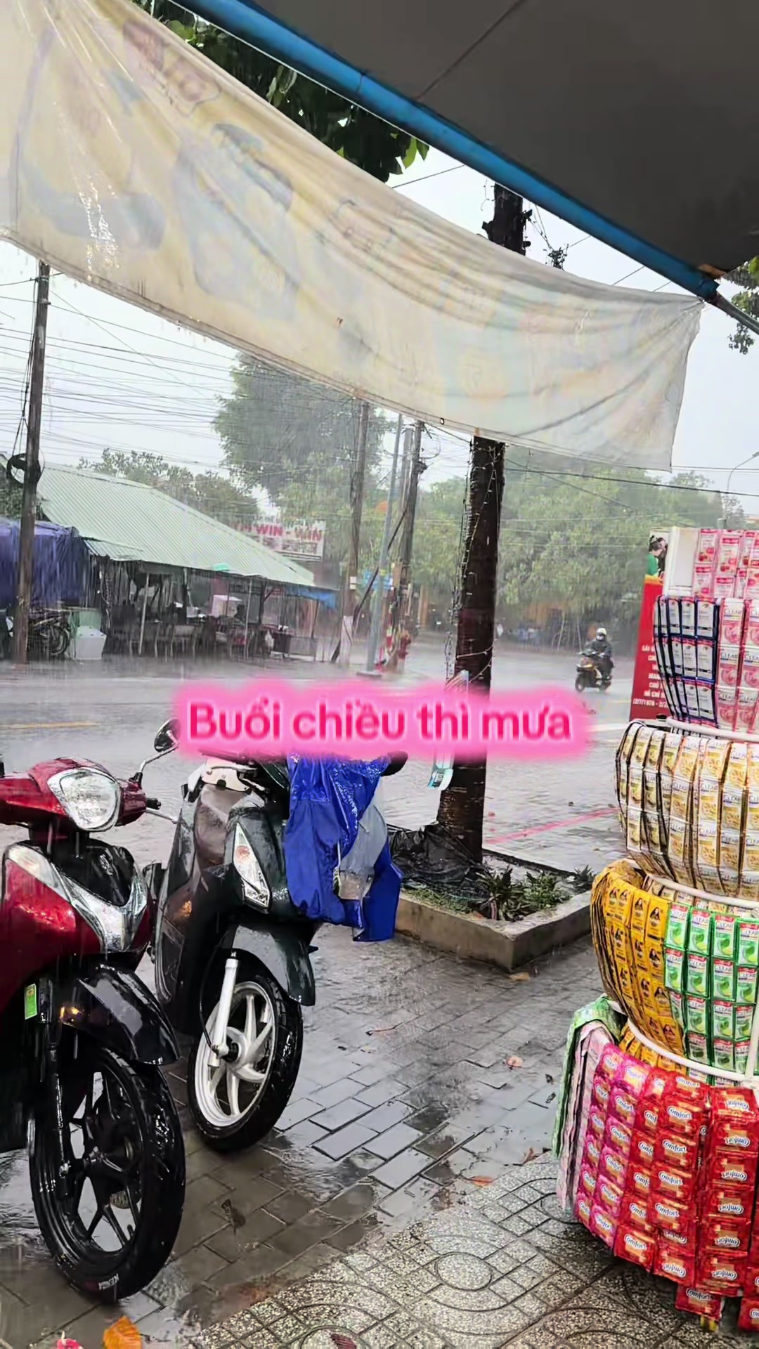 @Shop Mẹ và Bé Hoàng Ly