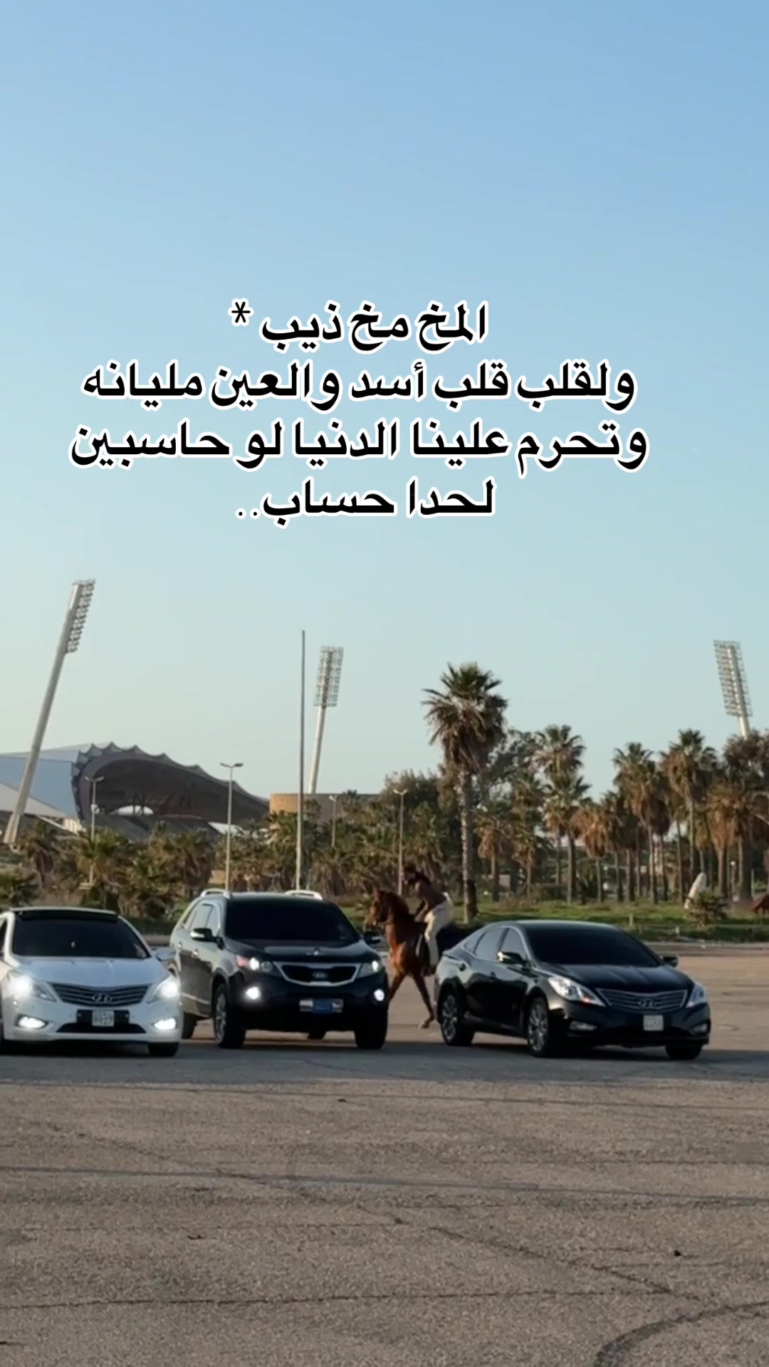 @حميد أبو الشيخ