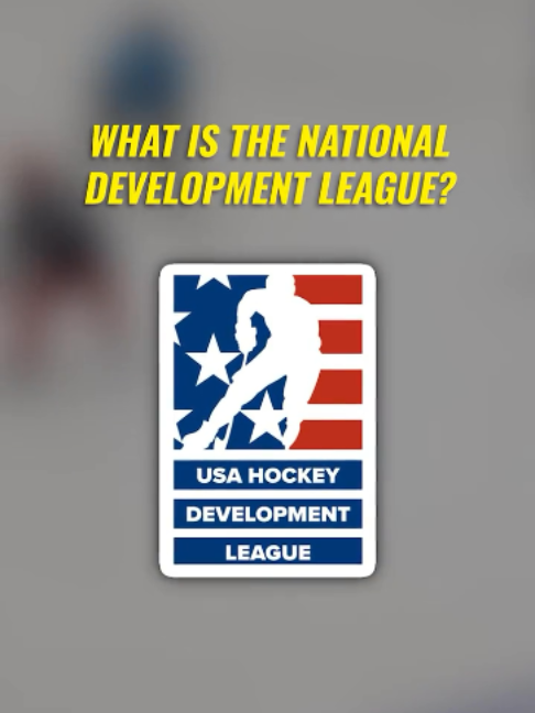 @Advancement Hockey Agency