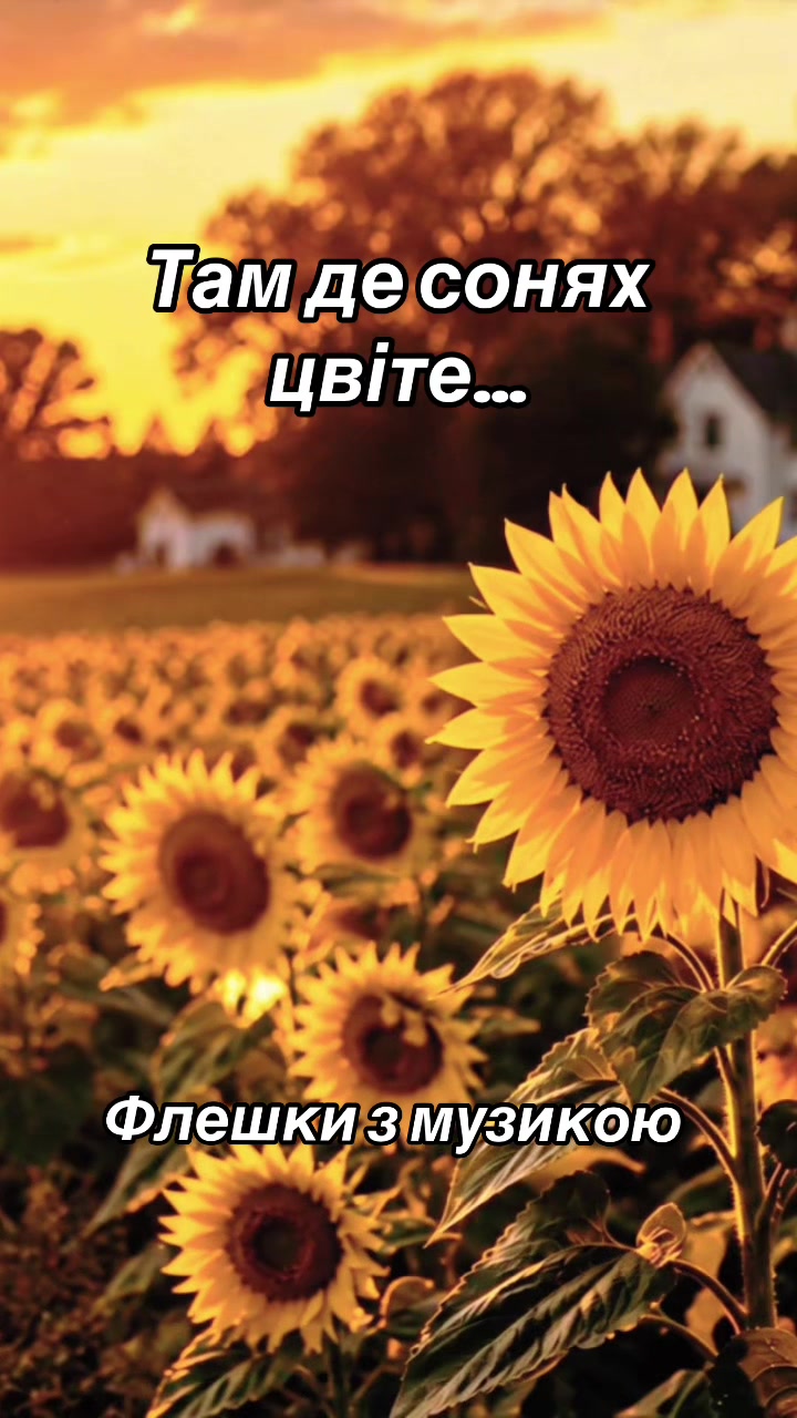 @Наші Пісні
