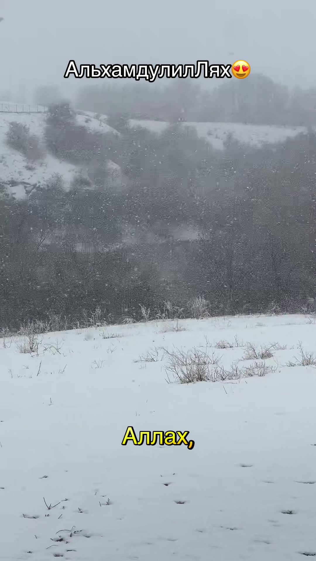 @“𝐍𝐎 𝐍𝐀𝐌𝐄”