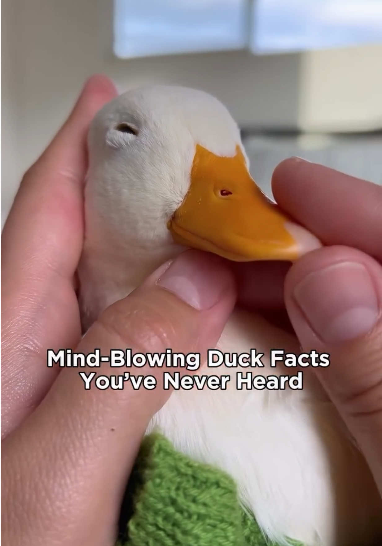 @ducks_in_space🪿🪿💦