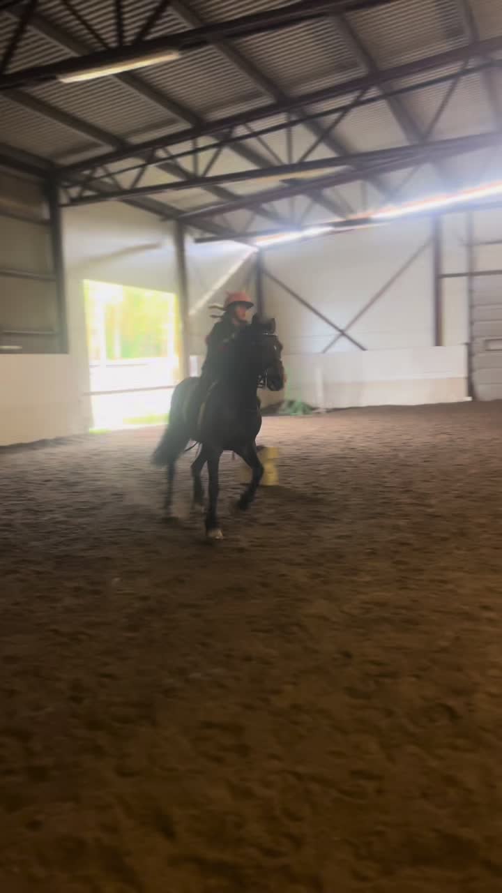 @Equi_…