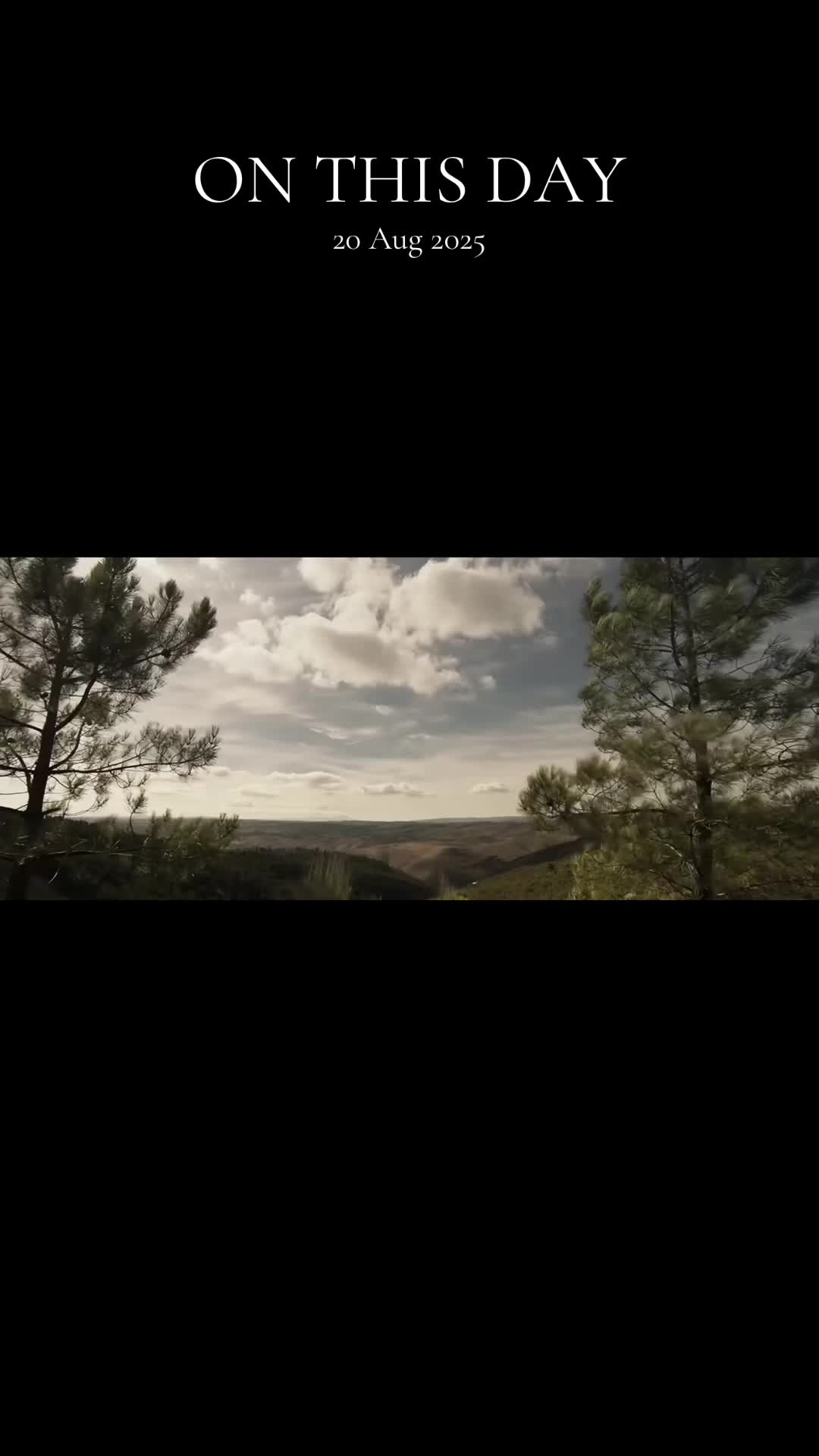 @🇻🇦