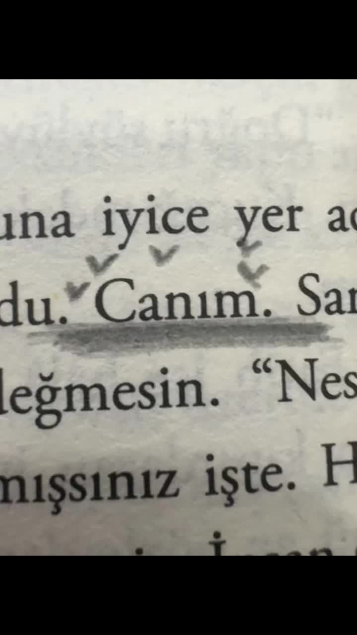 @(Tɪᴍᴜʀ’ꜱ ᴠᴇʀꜱɪᴏɴ )