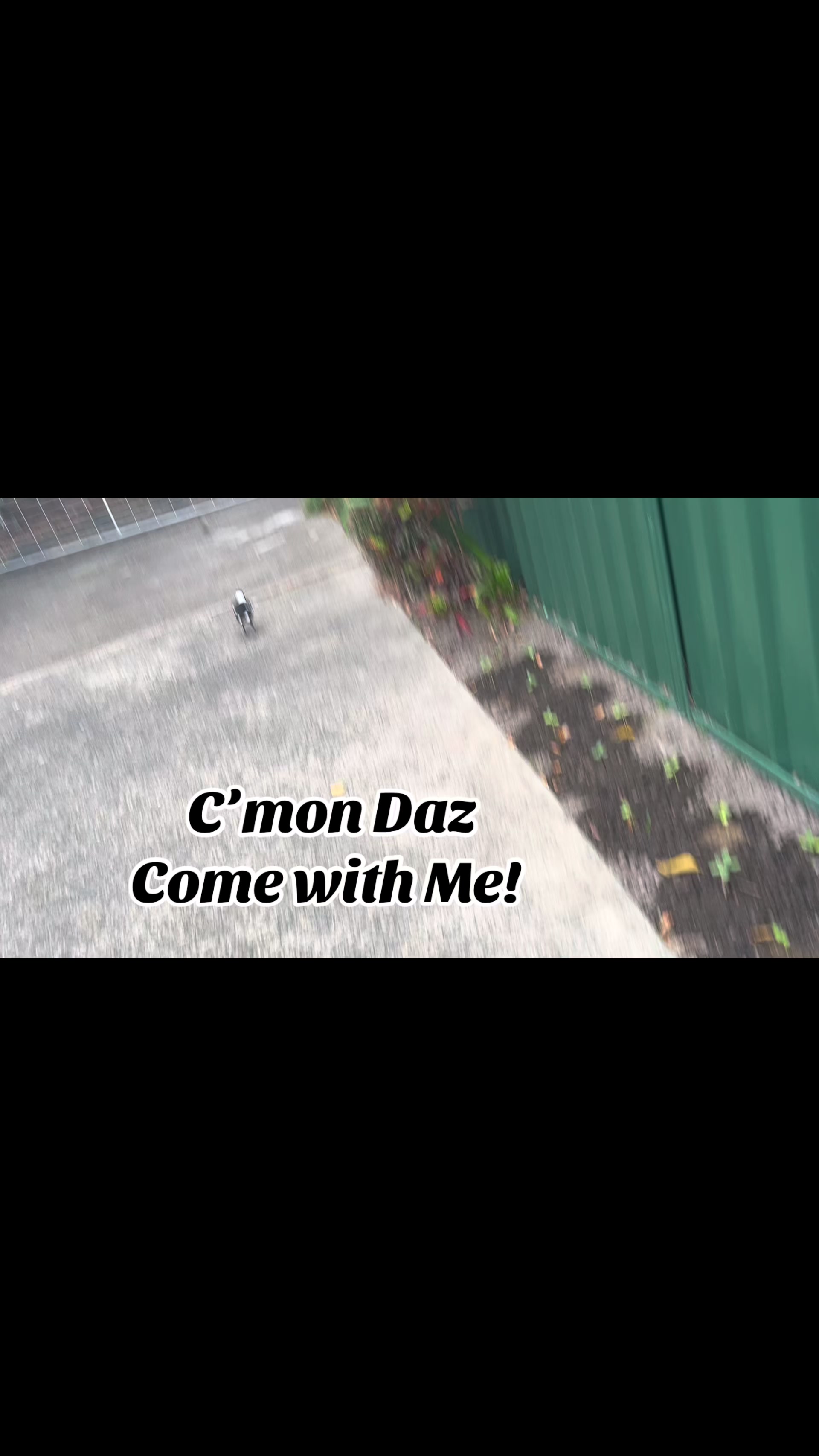 @DaZzee