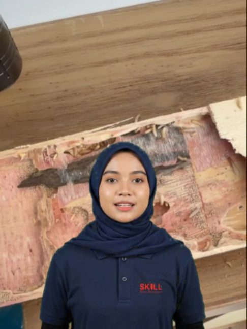 @Skill Termite MY