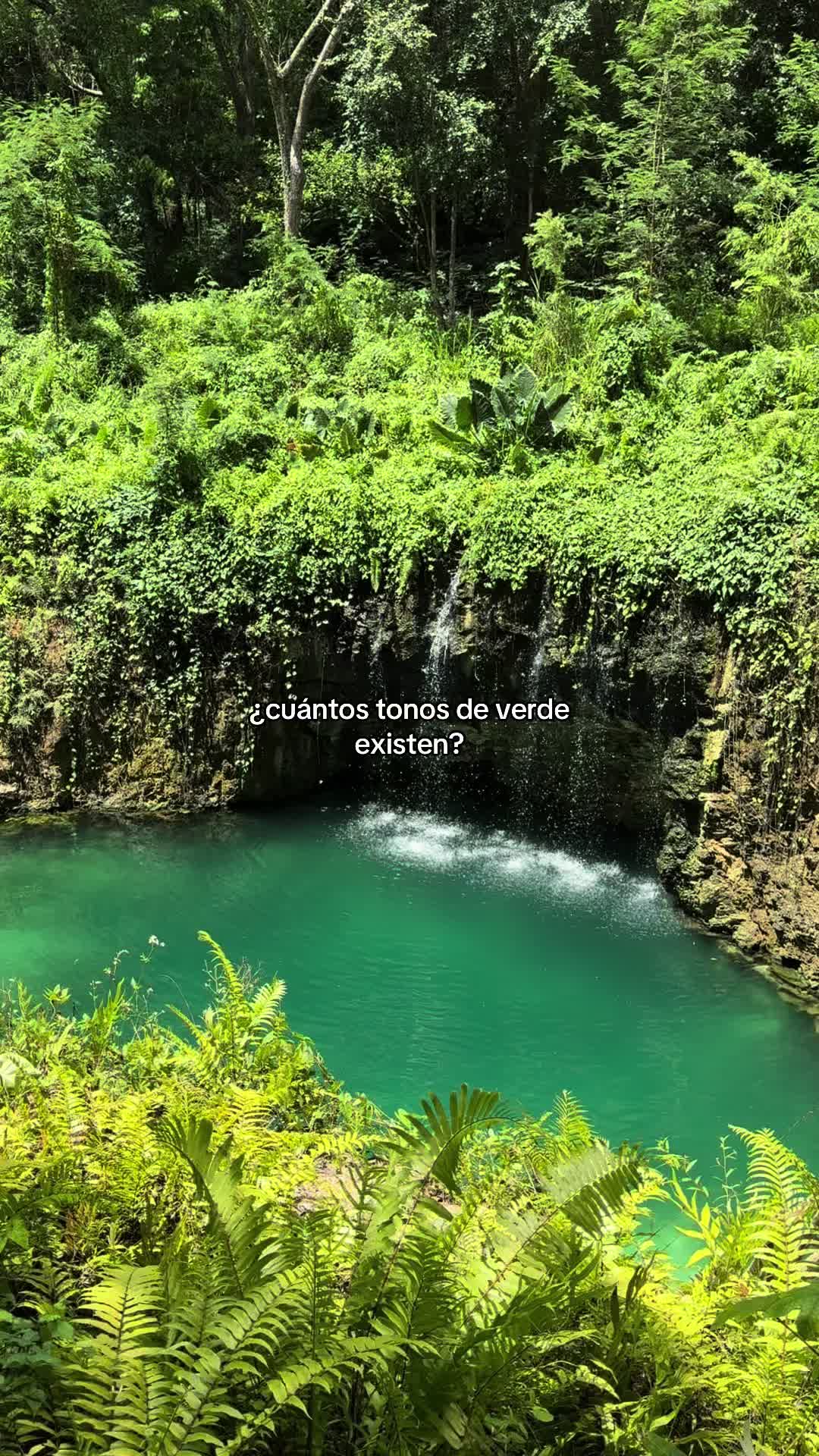 @paula ☾