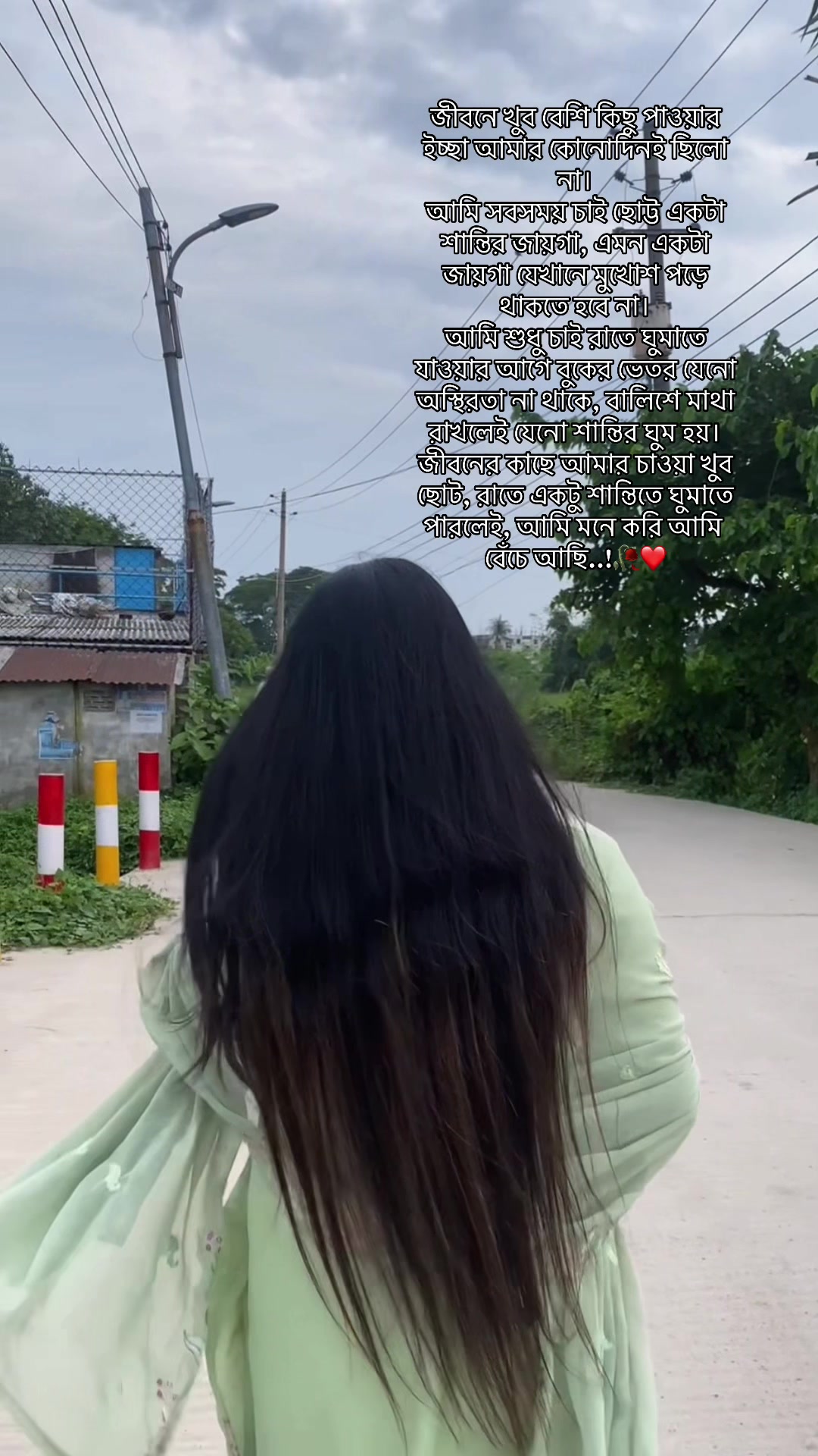 @đĻ Dola đĻ