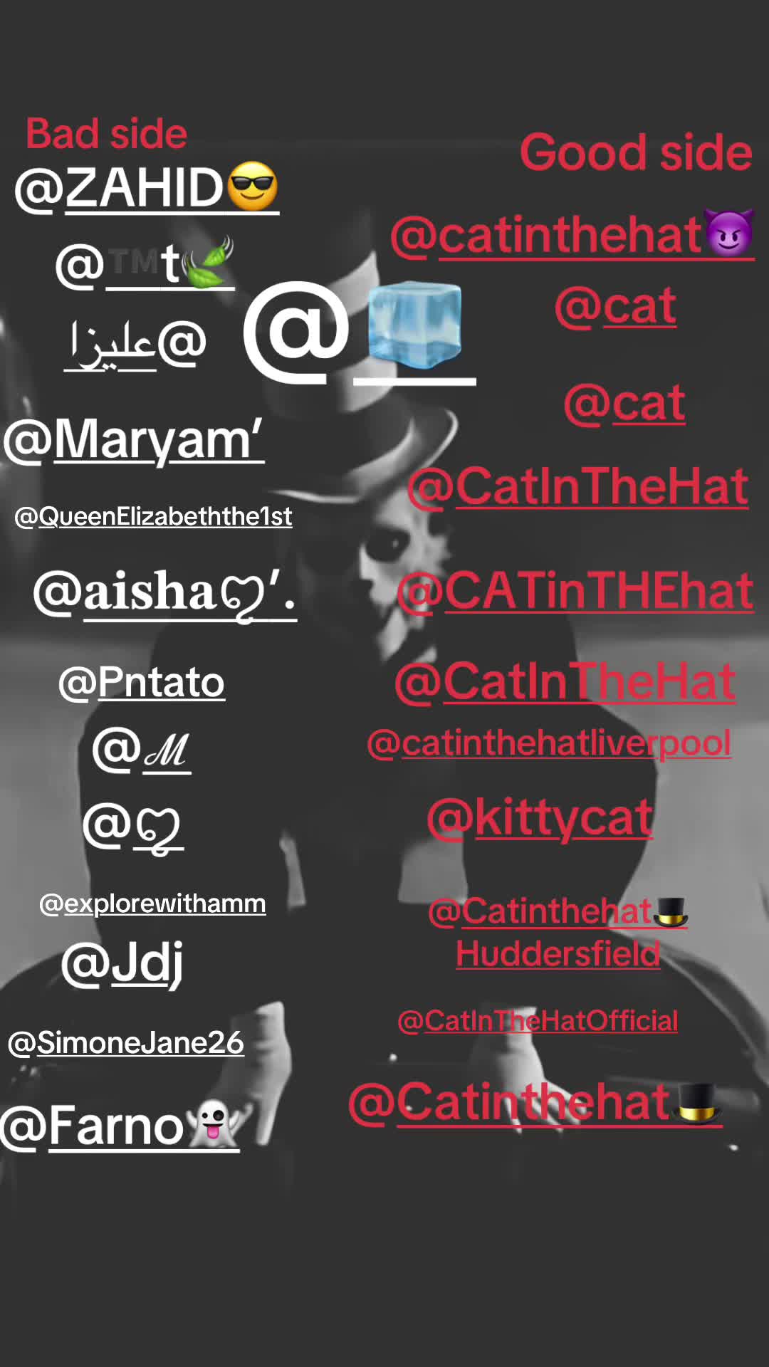 @Cat in the 🎩 Official