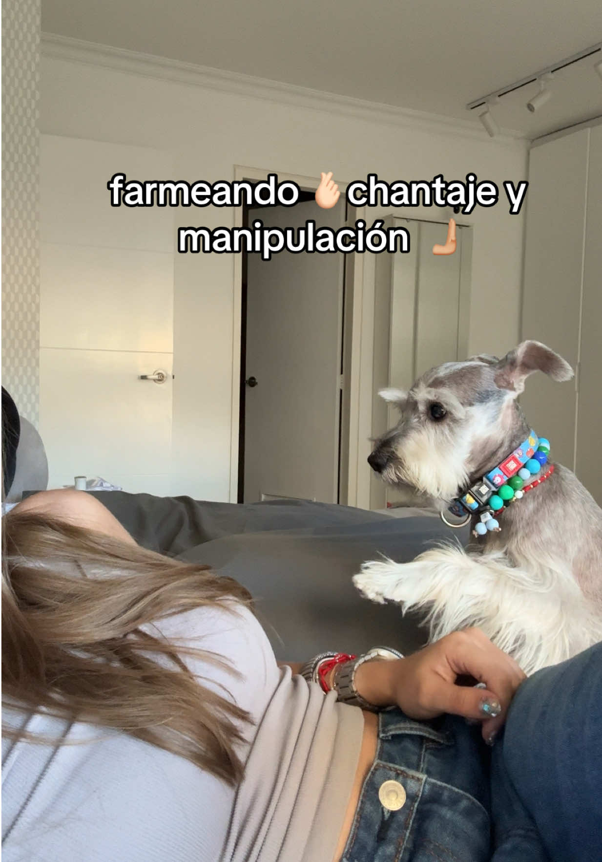@vidadlanky