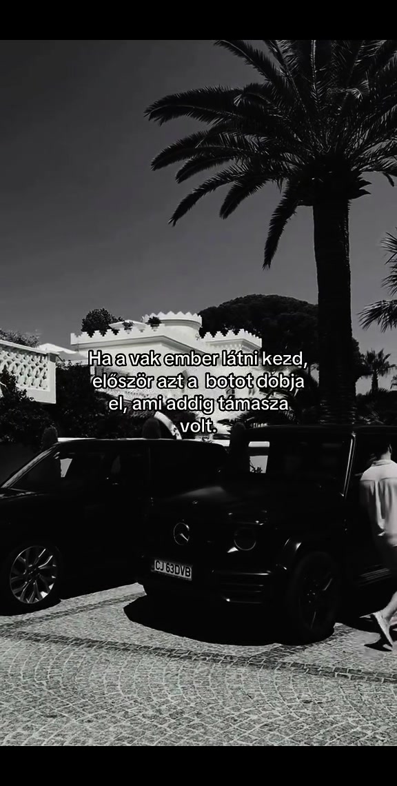 @Nemes Dávid