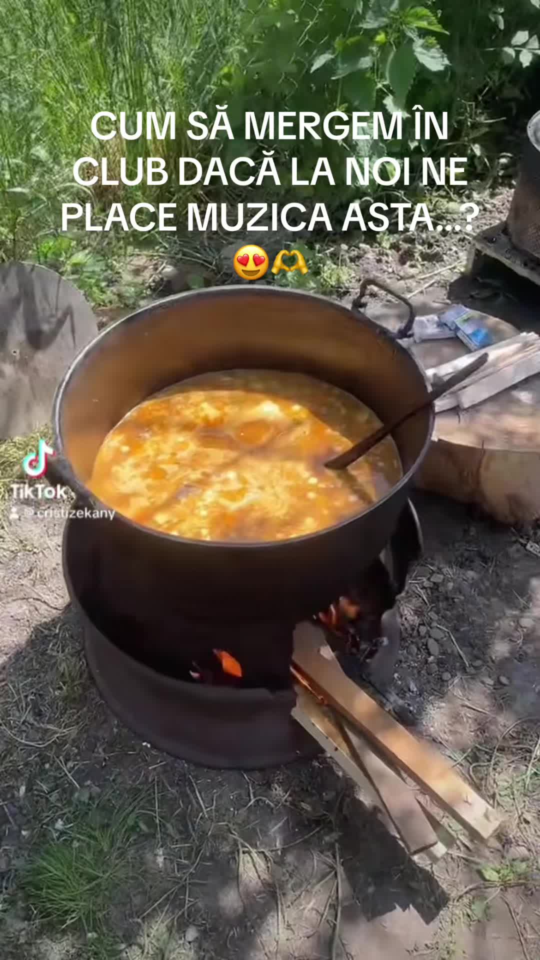 @Zizu