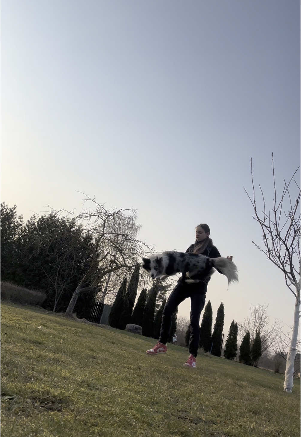 @elisathebordercollie