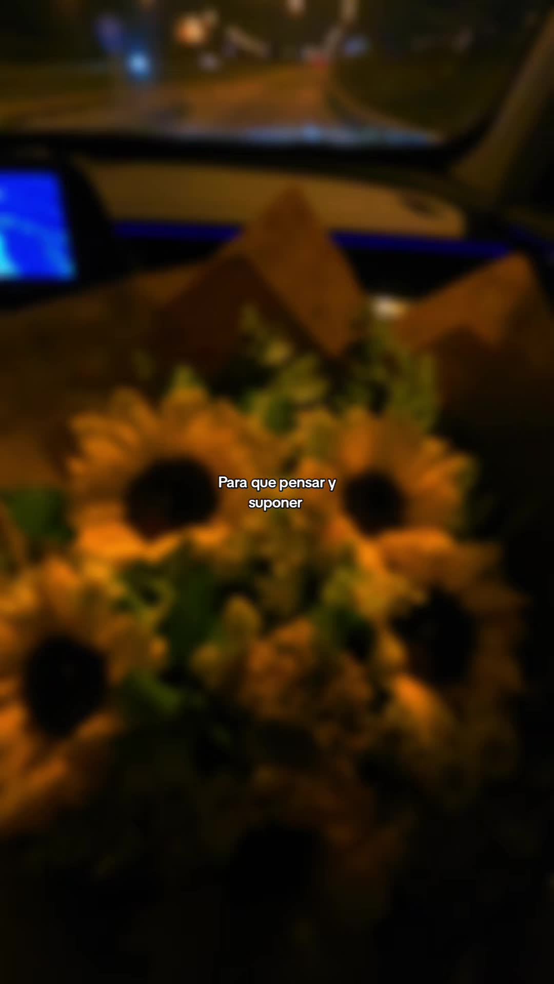 @Jeimily_🦋