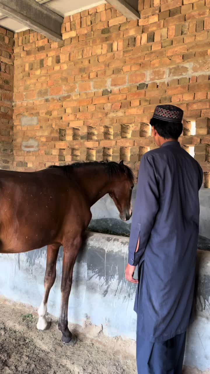 @💙ملک علی عباس سگو فتح خیل