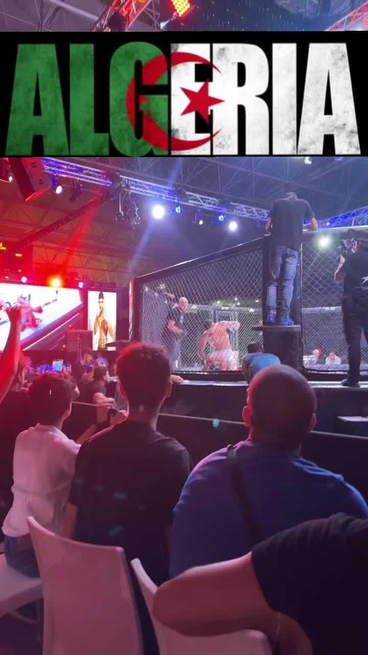 @m.n.ldn
