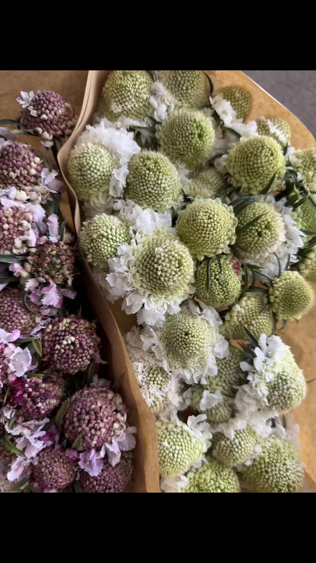 @Casconefiori