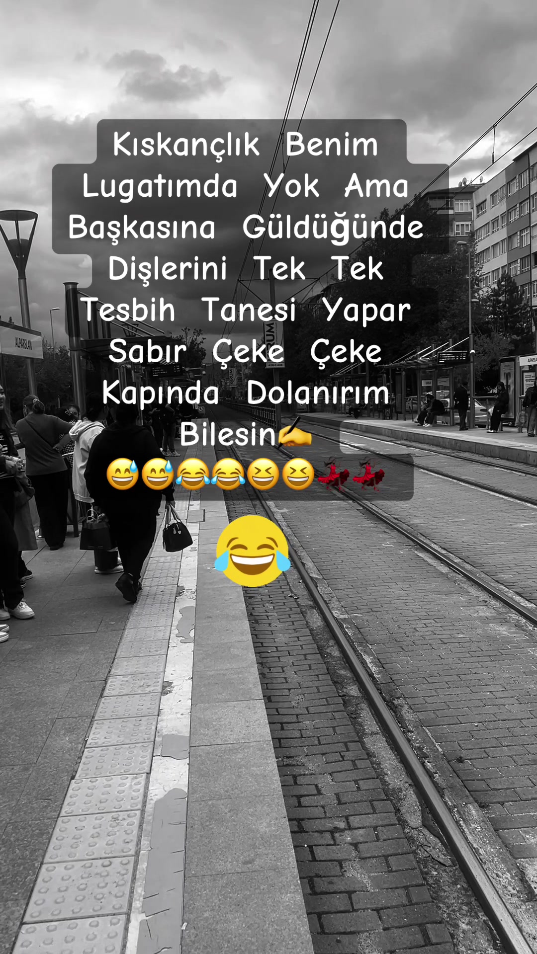 @✨🤍Ayliz_S🤍✨