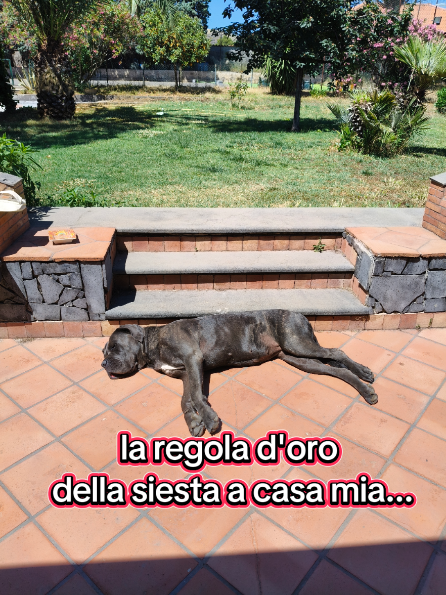 @grazy....1