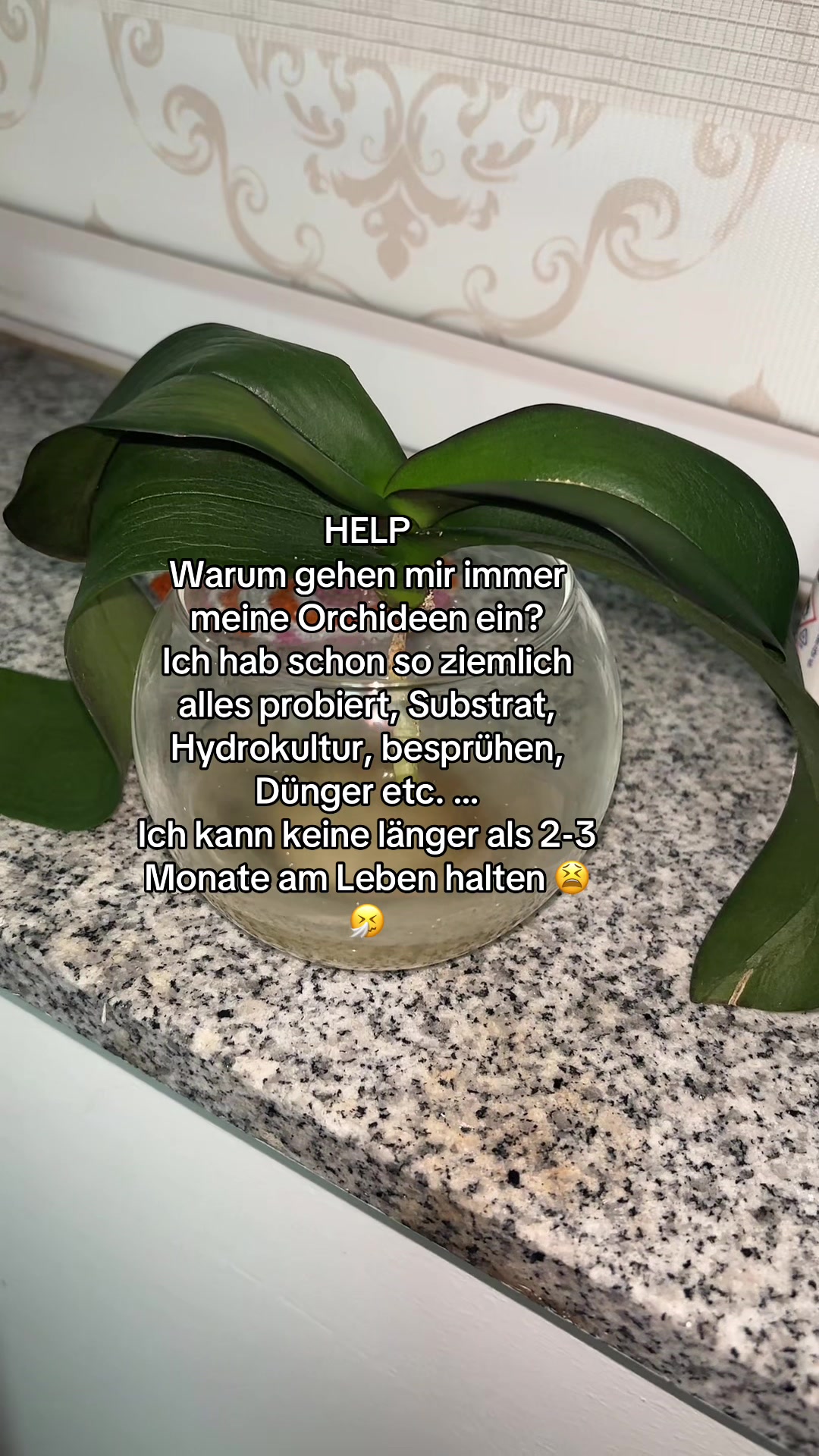 @Lea