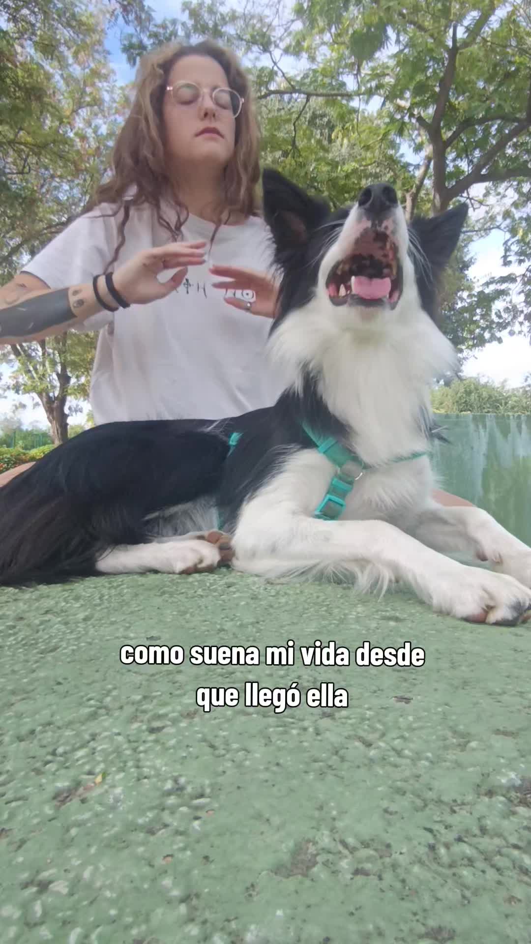 @caniho