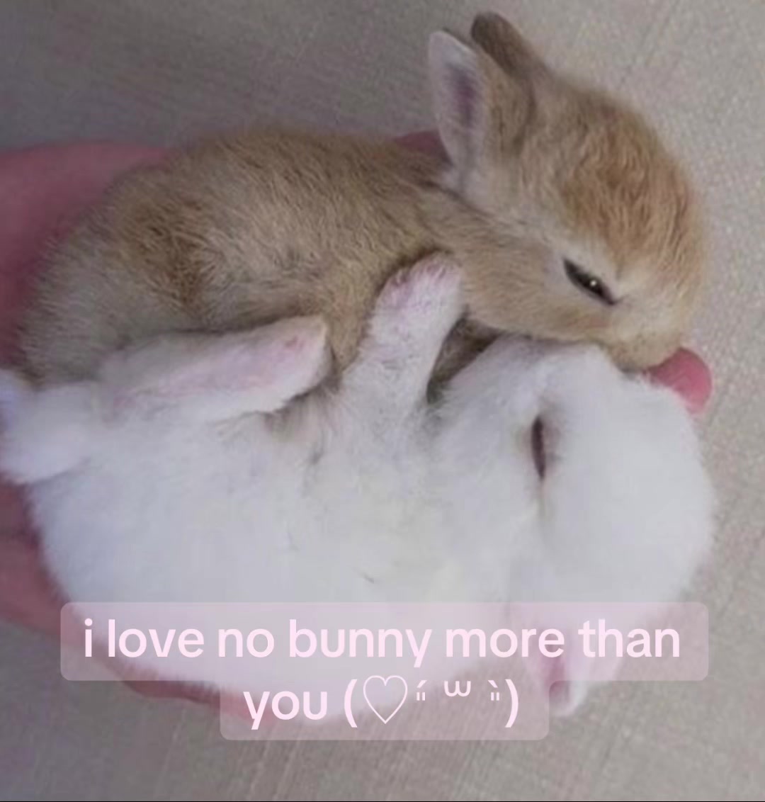 @aya ! ≽(•⩊ •マ≼