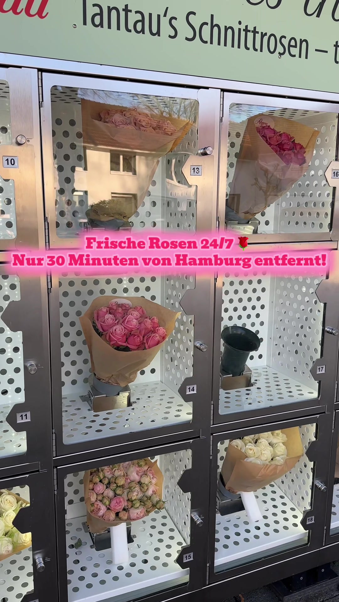 @Michelle C&eacute;line 💌