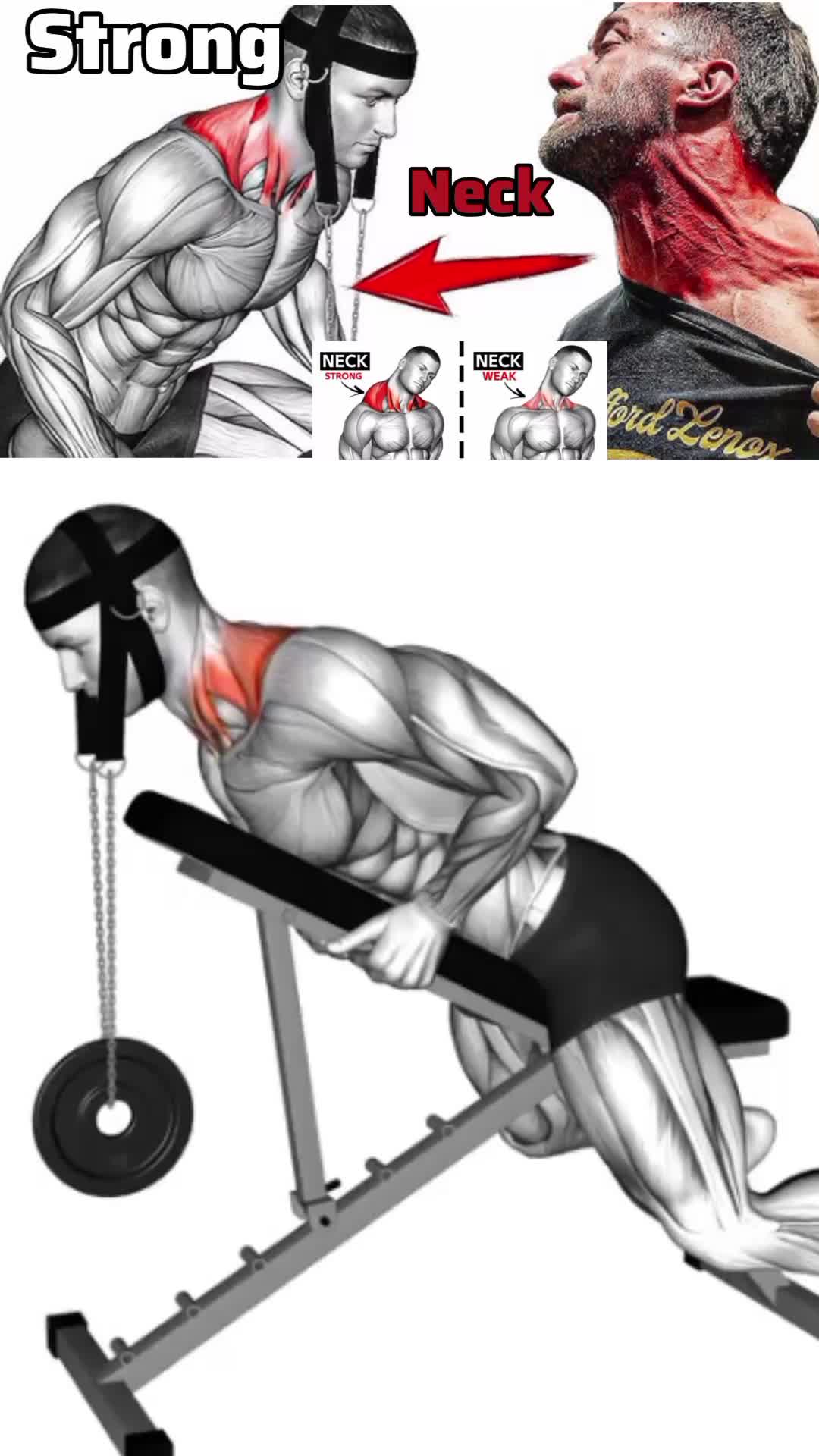 @GetToFit