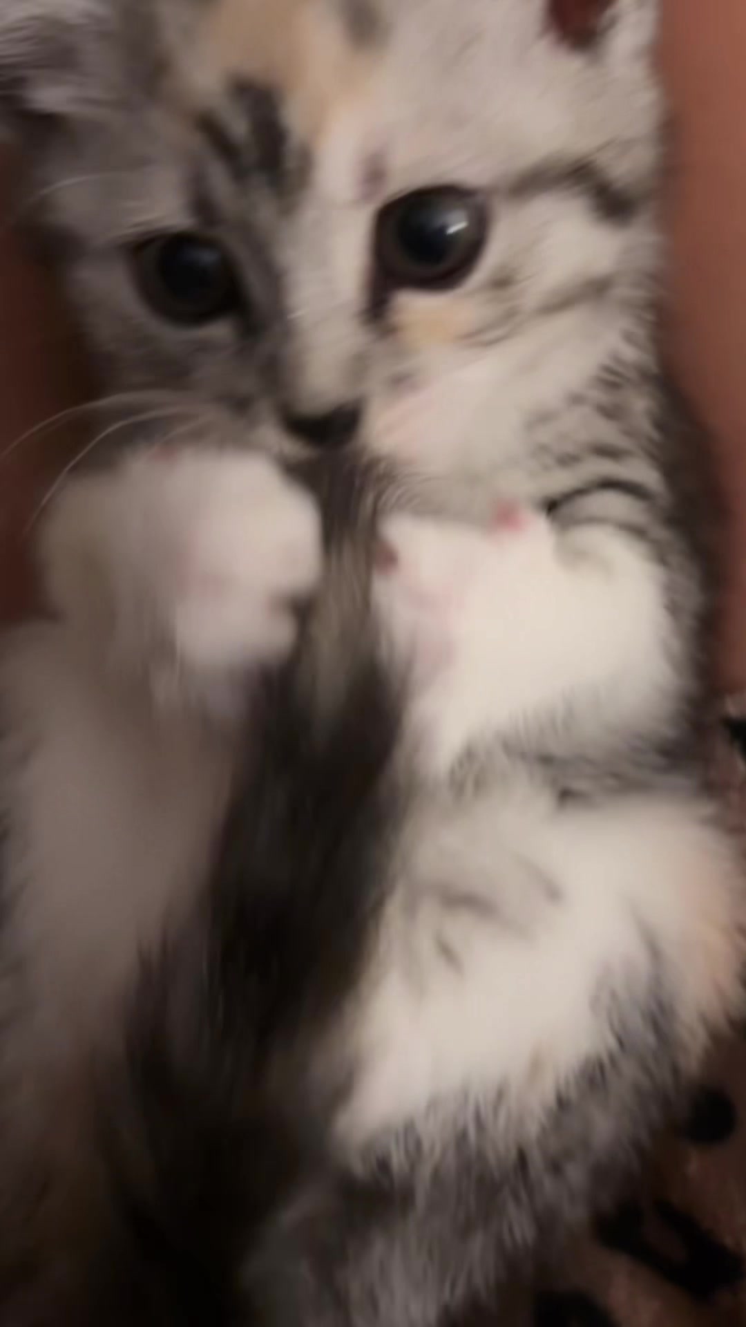@a