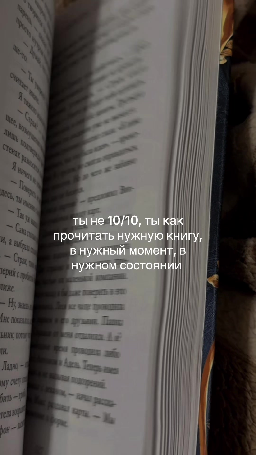 @Реми читает ☕️🍂
